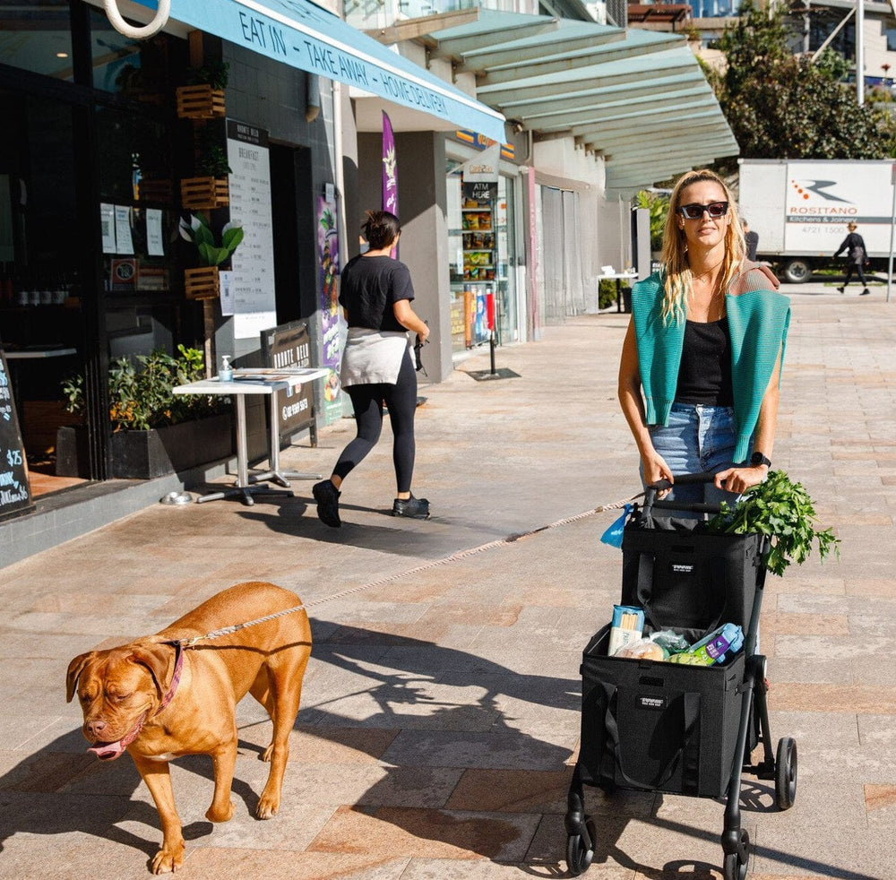 VOOMcart Folding Shopping Cart