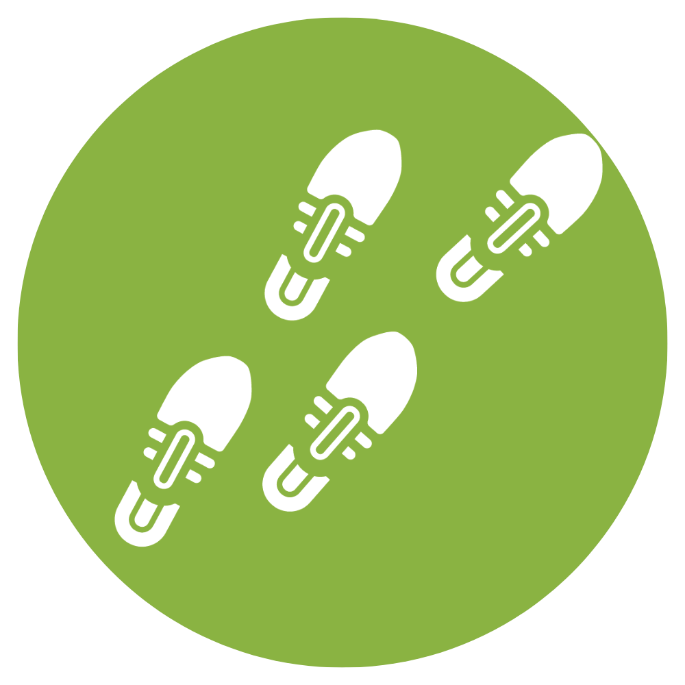 Walking is the Wonderdrug